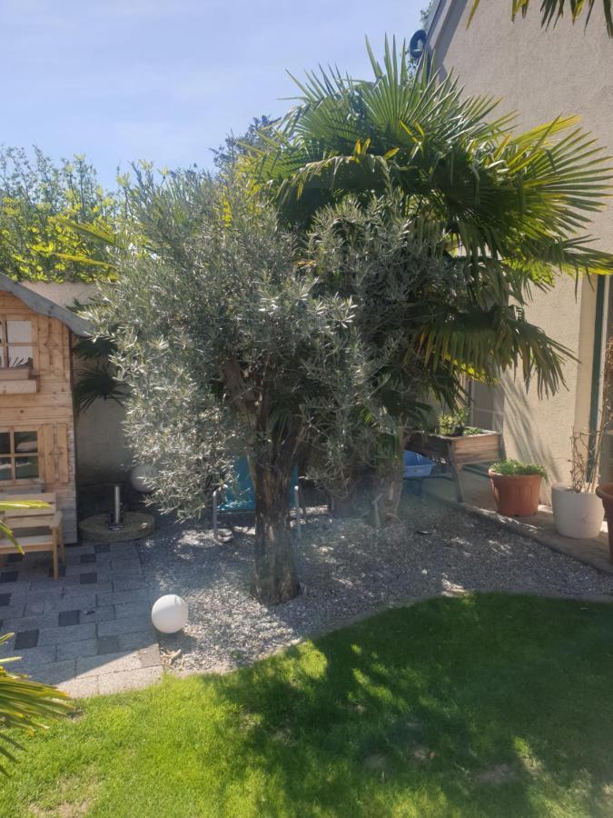 Ferienhaus Apetlon Extérieur photo